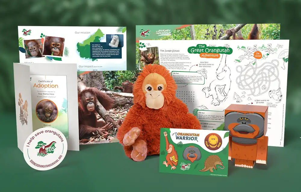 visit orangutan sanctuary borneo