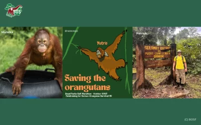 ROYAL PARKS HALF CHARITY PLACES – RUN FOR ORANGUTANS