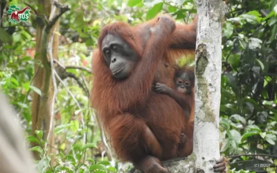 MAMA JOSIE’S JOURNEY AS A MOTHER IN THE PRE-RELEASE ISLAND OF KAJA