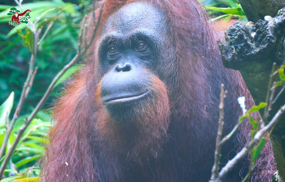 blog feature – cici