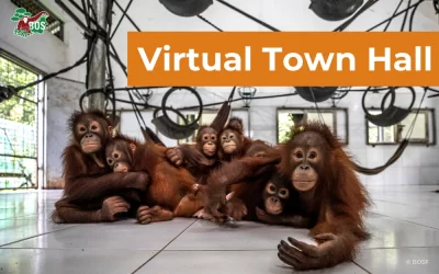 JOIN US FOR THE STATUS OF ORANGUTAN CONSERVATION TOWN HALL