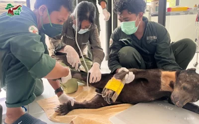 WHEN A SNARE ALMOST STOPPED HER LIFE