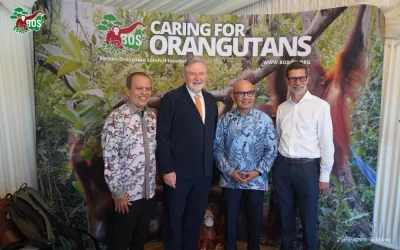 ORANGUTANS SPOTLIGHTED IN PARLIAMENT