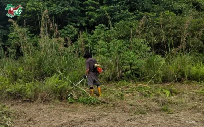BEHIND THE CONSERVATION: KEEPING ORANGUTAN HABITAT MONITORING OPERATIONS RUNNING AMIDST DELAYS