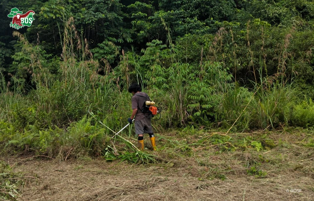 BEHIND THE CONSERVATION: KEEPING ORANGUTAN HABITAT MONITORING OPERATIONS RUNNING AMIDST DELAYS