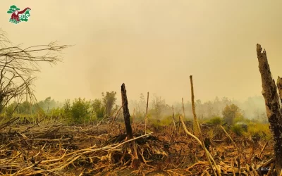SEPTEMBER 18 FIRE UPDATE FROM BOSF